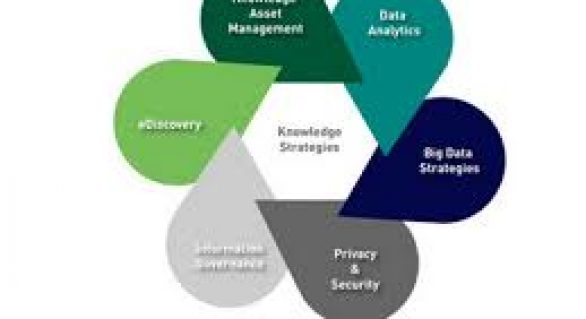 Knowledge Governance